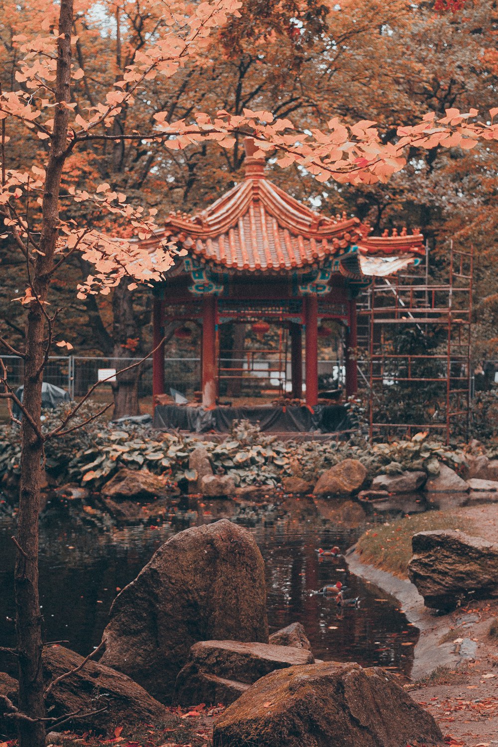 a small pagoda in the middle of a forest