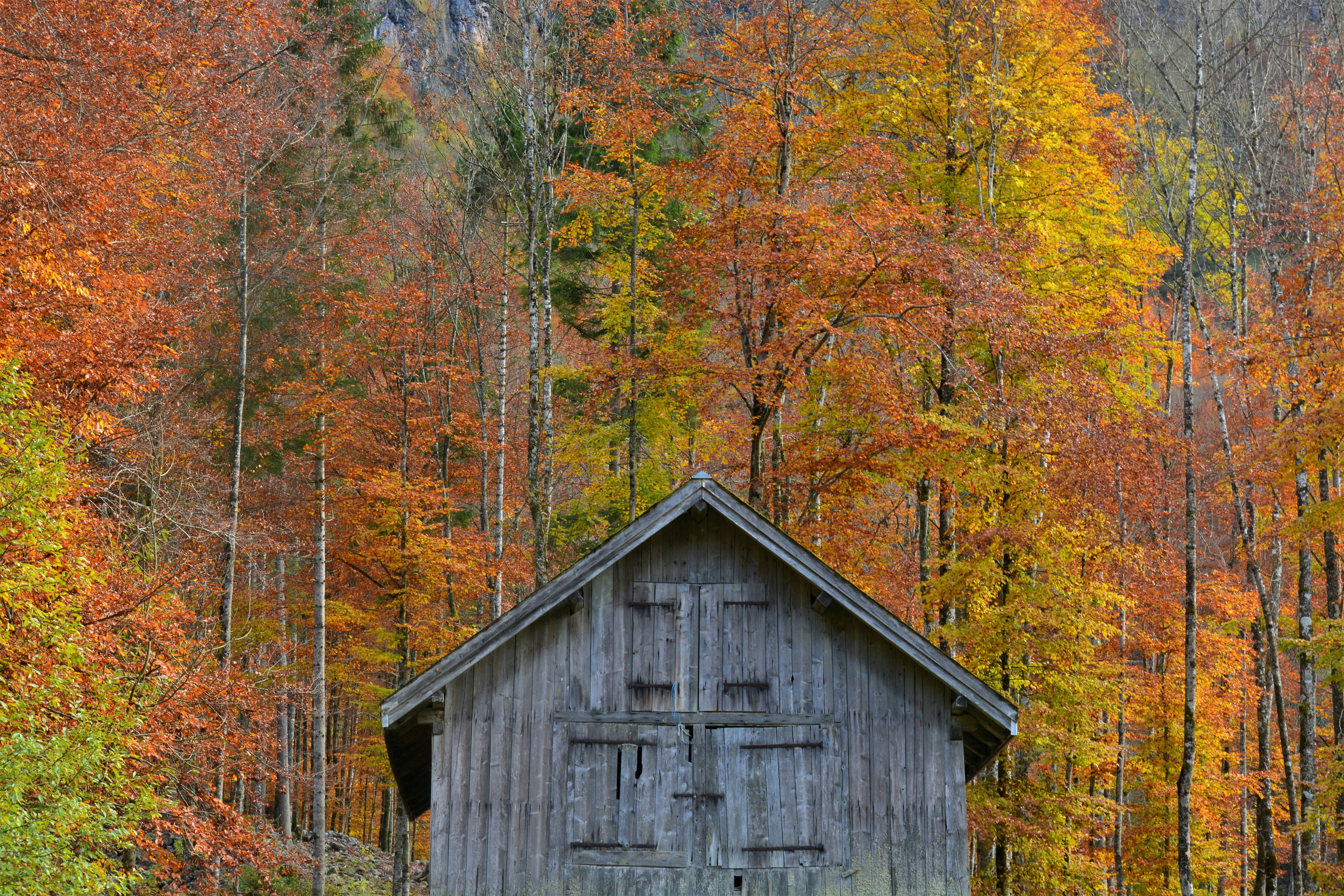 Photo by pedrino5_official