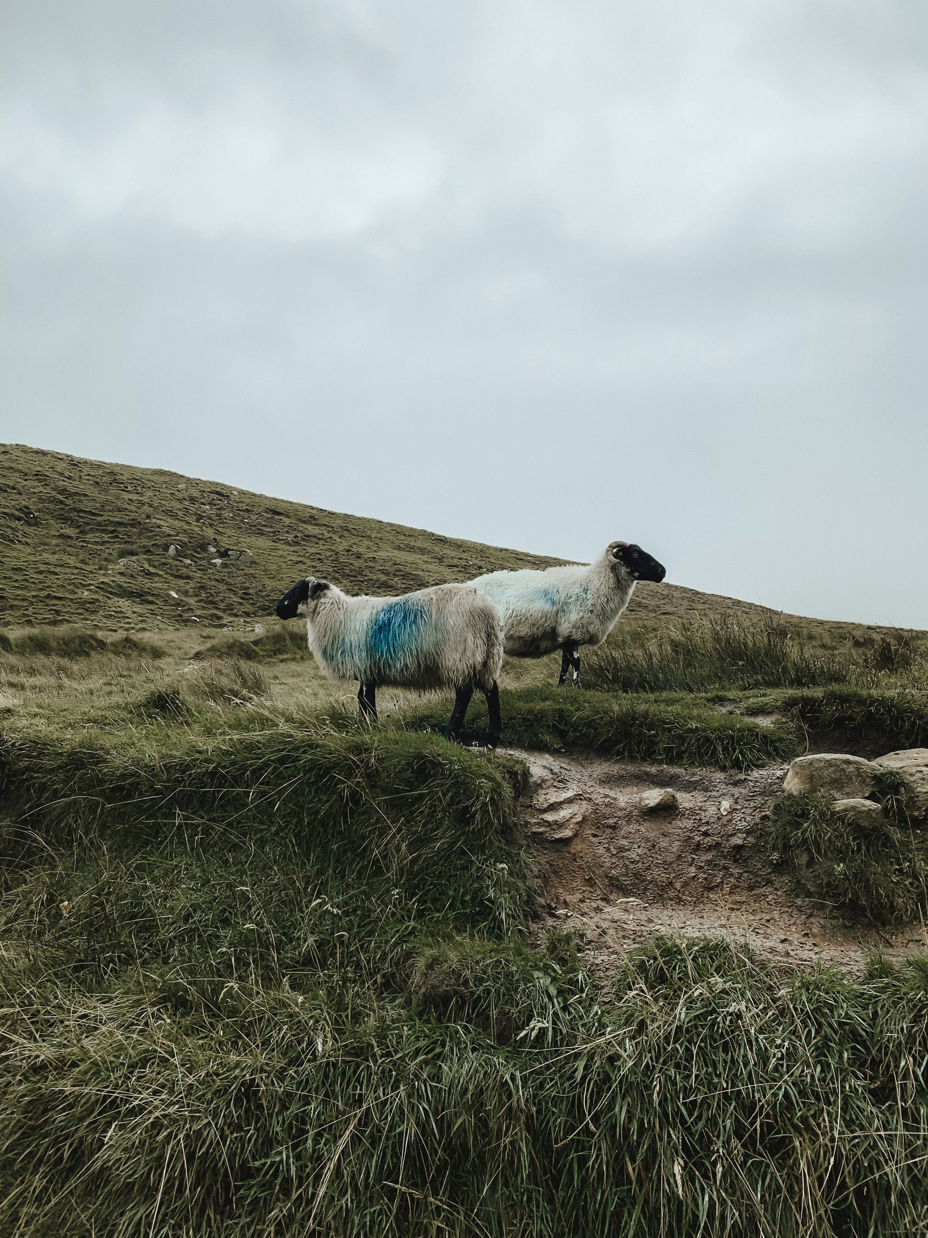 Photo by camelieinpic