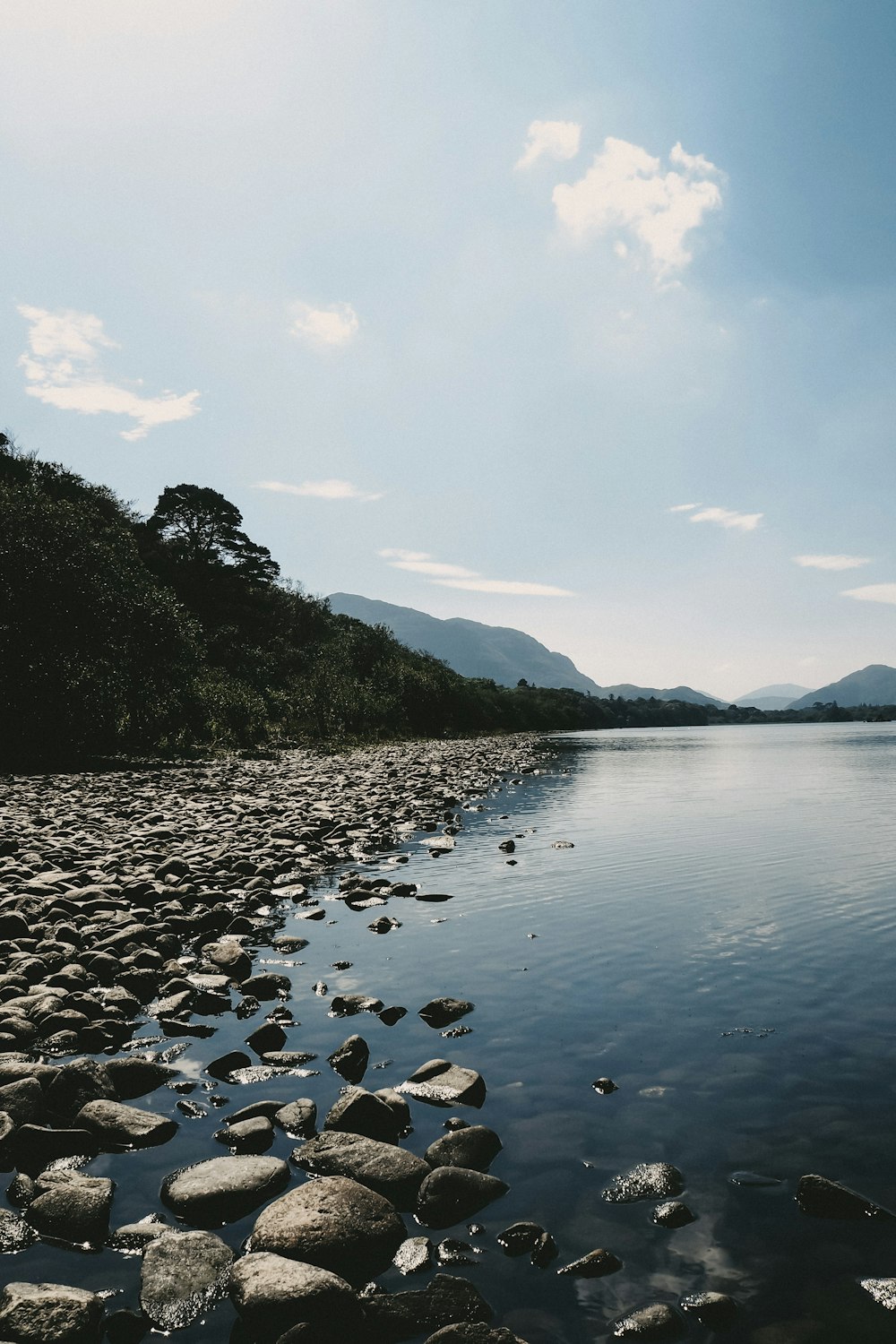 a body of water surrounded by rocks and trees