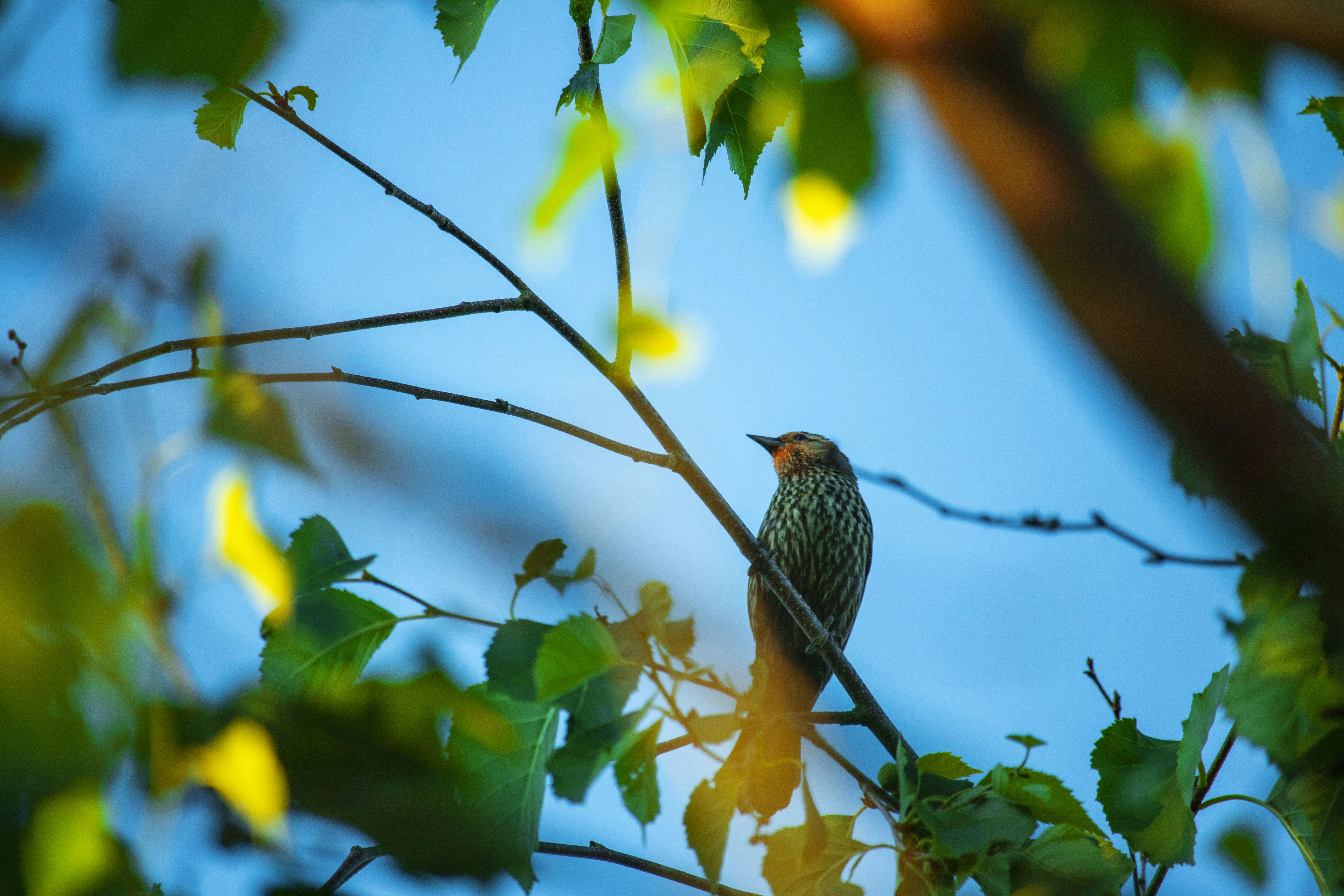 Photo by patunsplash9