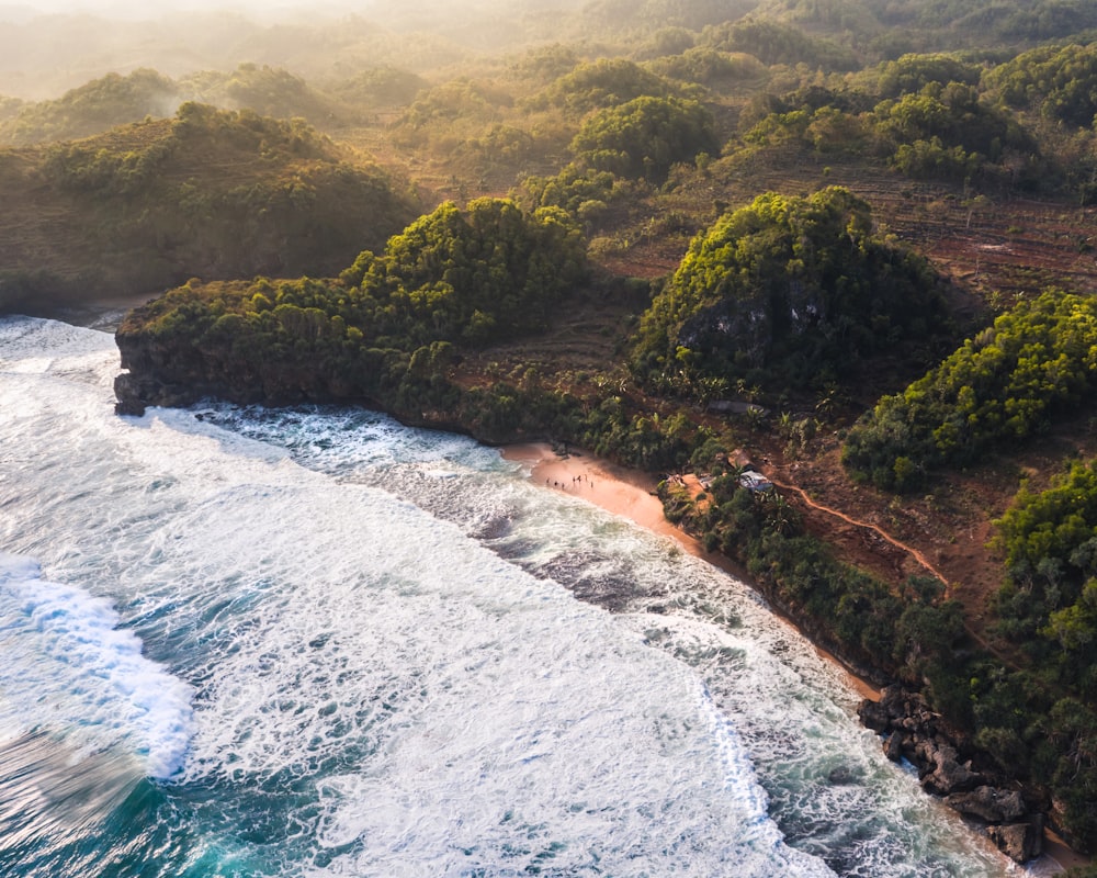 an aerial view of a beach and forested area