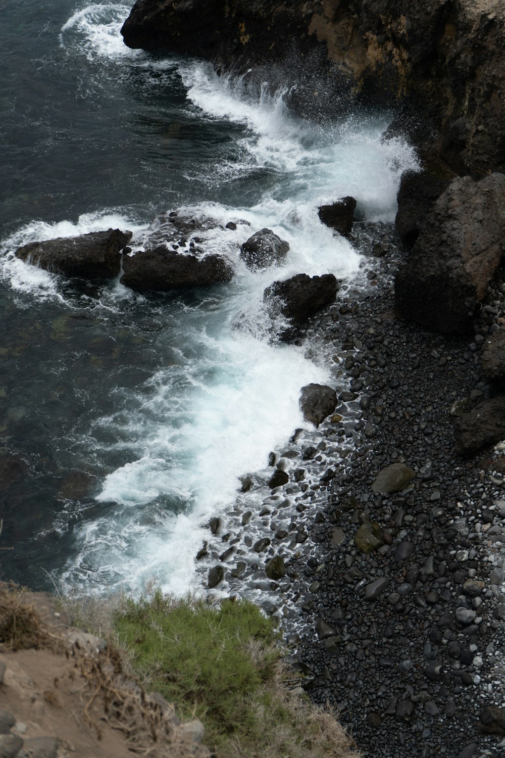 a bird is perched on the rocks near the water