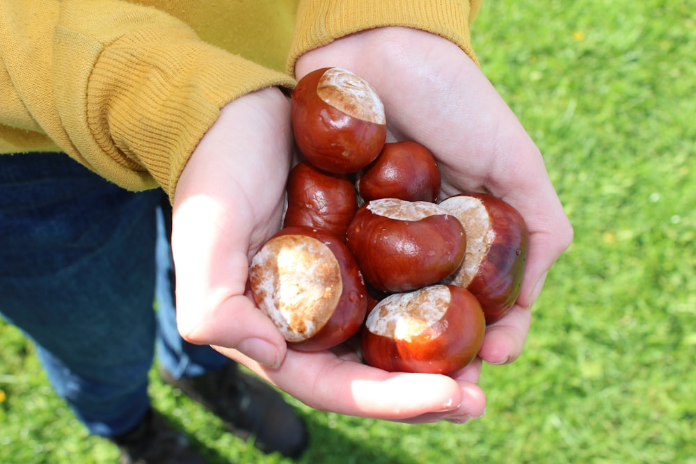 a person holding a handful of chestnuts in their hands