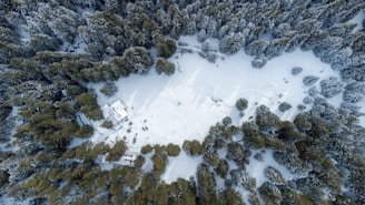 An aerial shot capturing the proximity of the homesites to the snowy slopes of Crystal Mountain ski area.