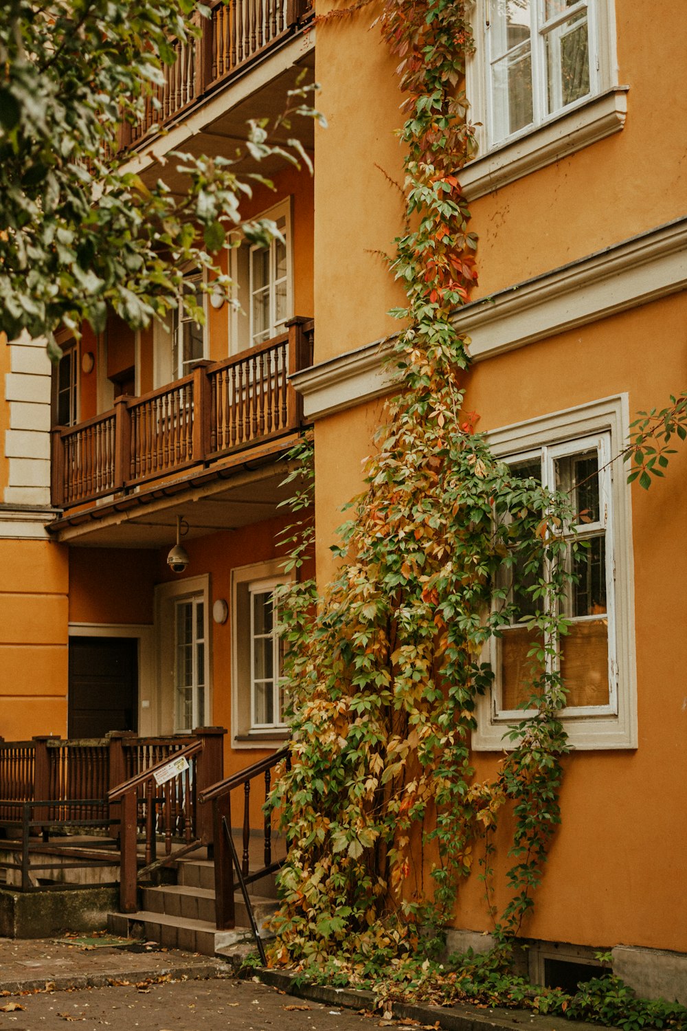 un bâtiment orange avec des vignes poussant à côté de celui-ci
