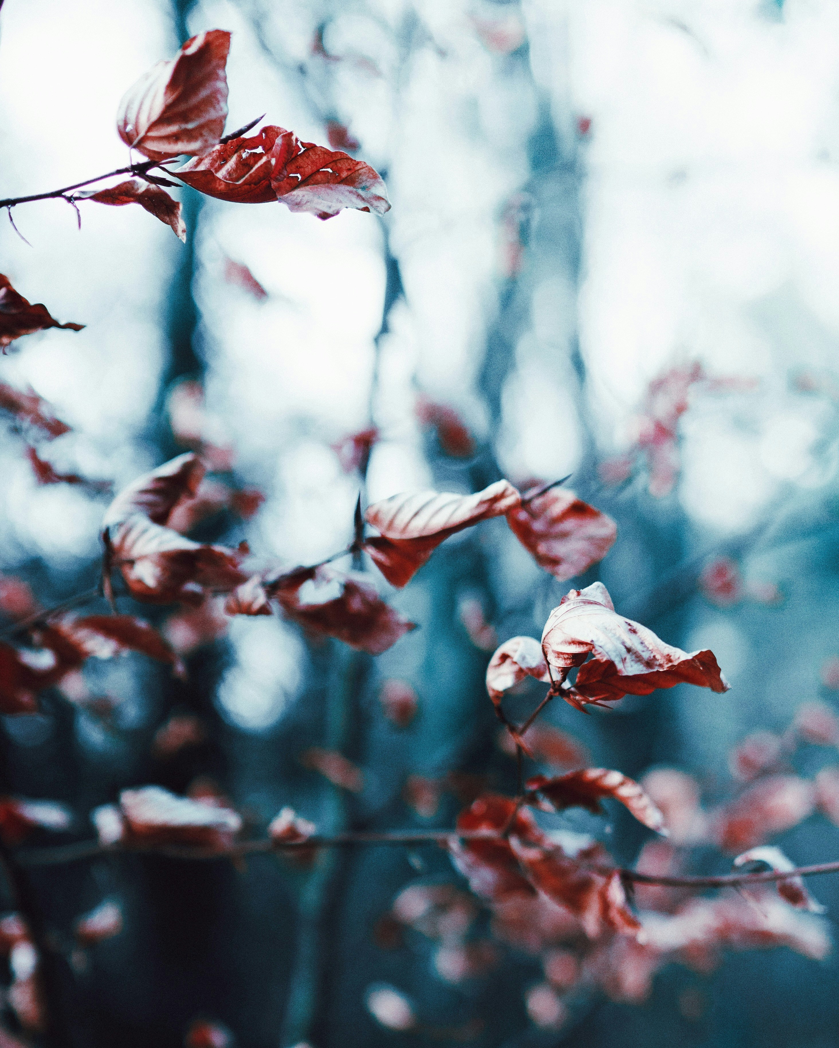 Photo by georgemcveigh