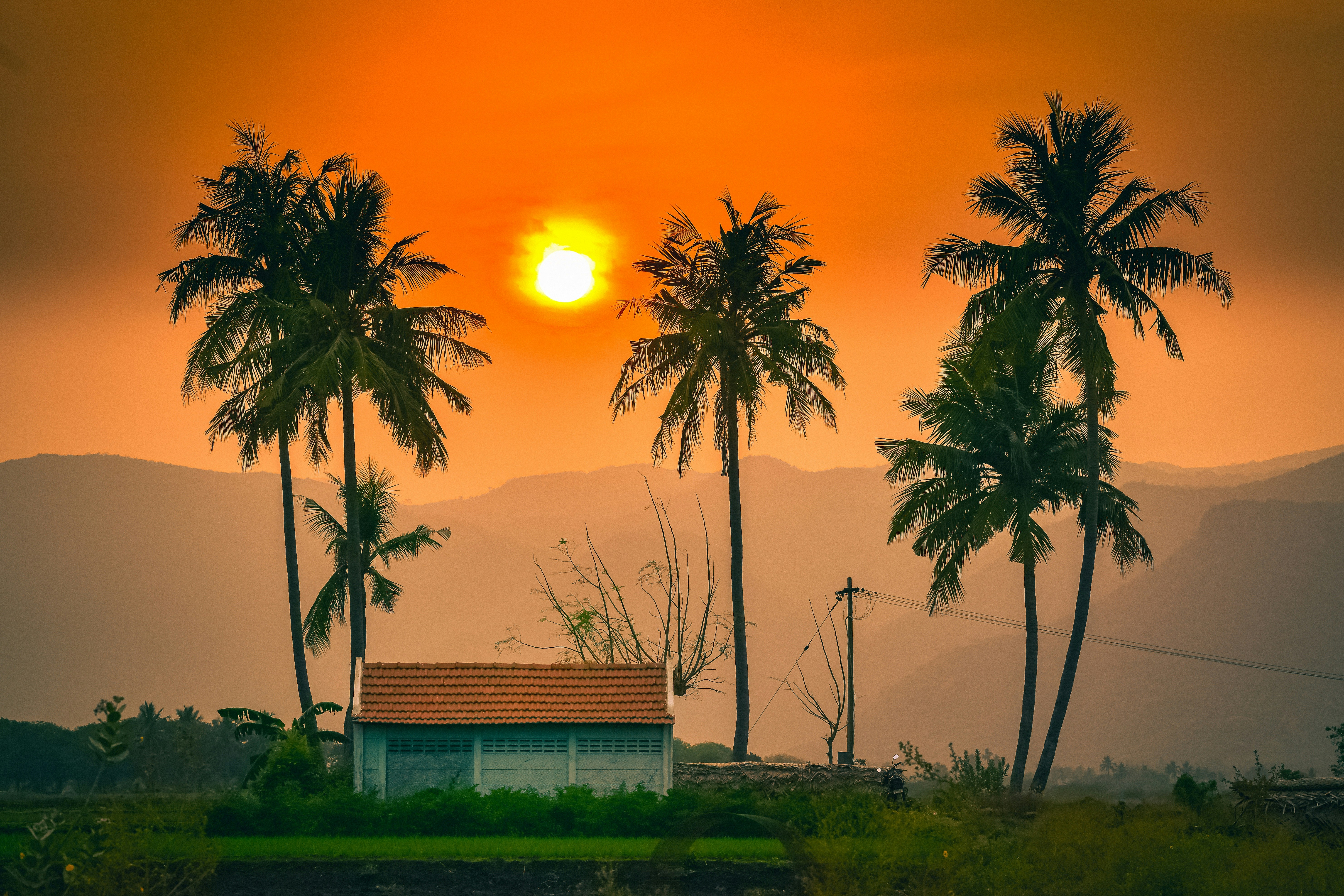 Photo by navi_photography