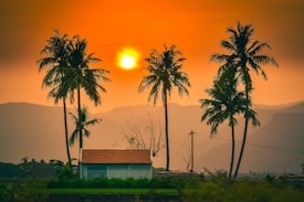 A serene landscape featuring tall palm trees silhouetted against a vibrant orange sunset sky. In the foreground, a small building with a red-tiled roof sits amidst lush greenery. The backdrop includes hazy mountain silhouettes, creating a peaceful and picturesque scene.