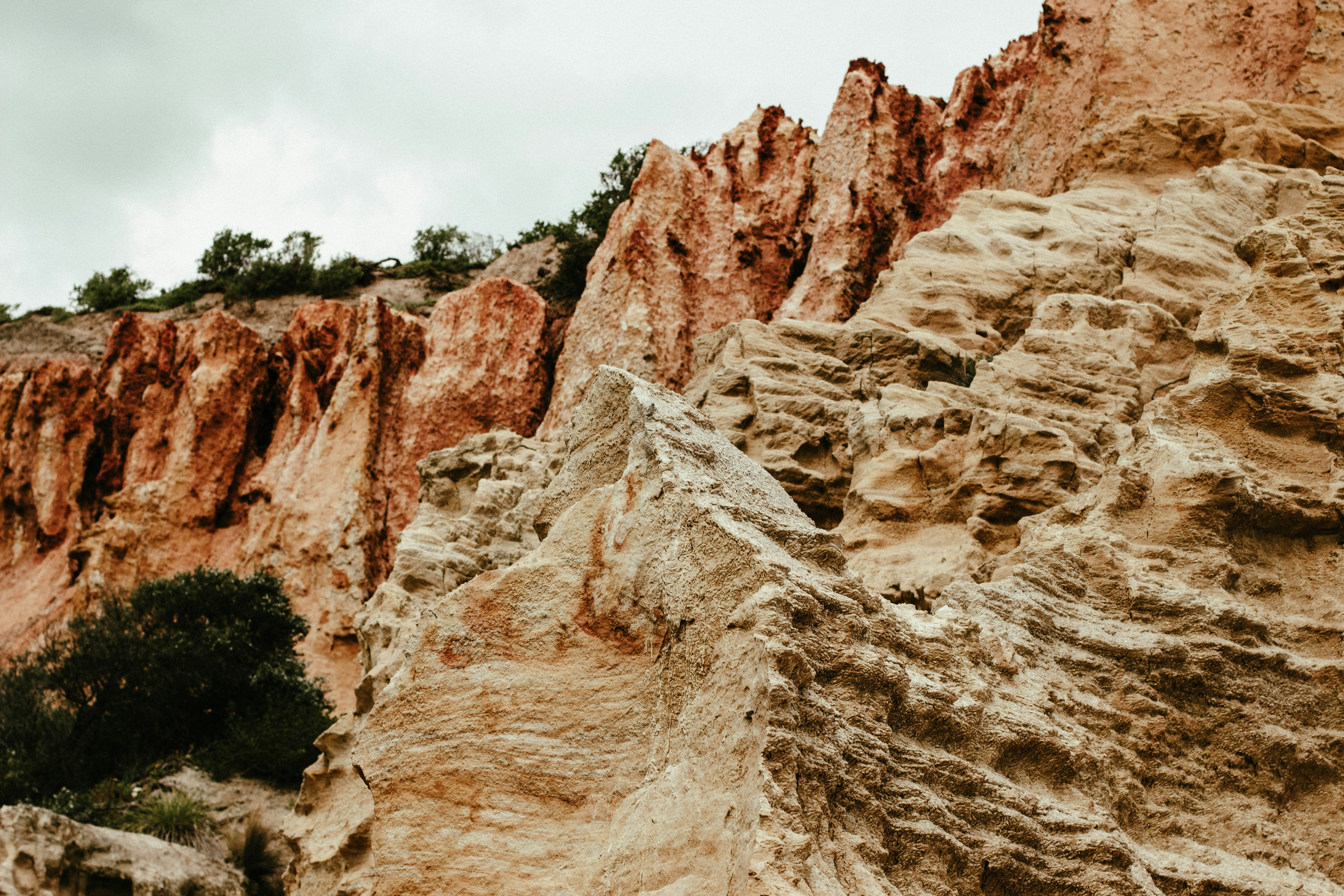 Black Rock City Park