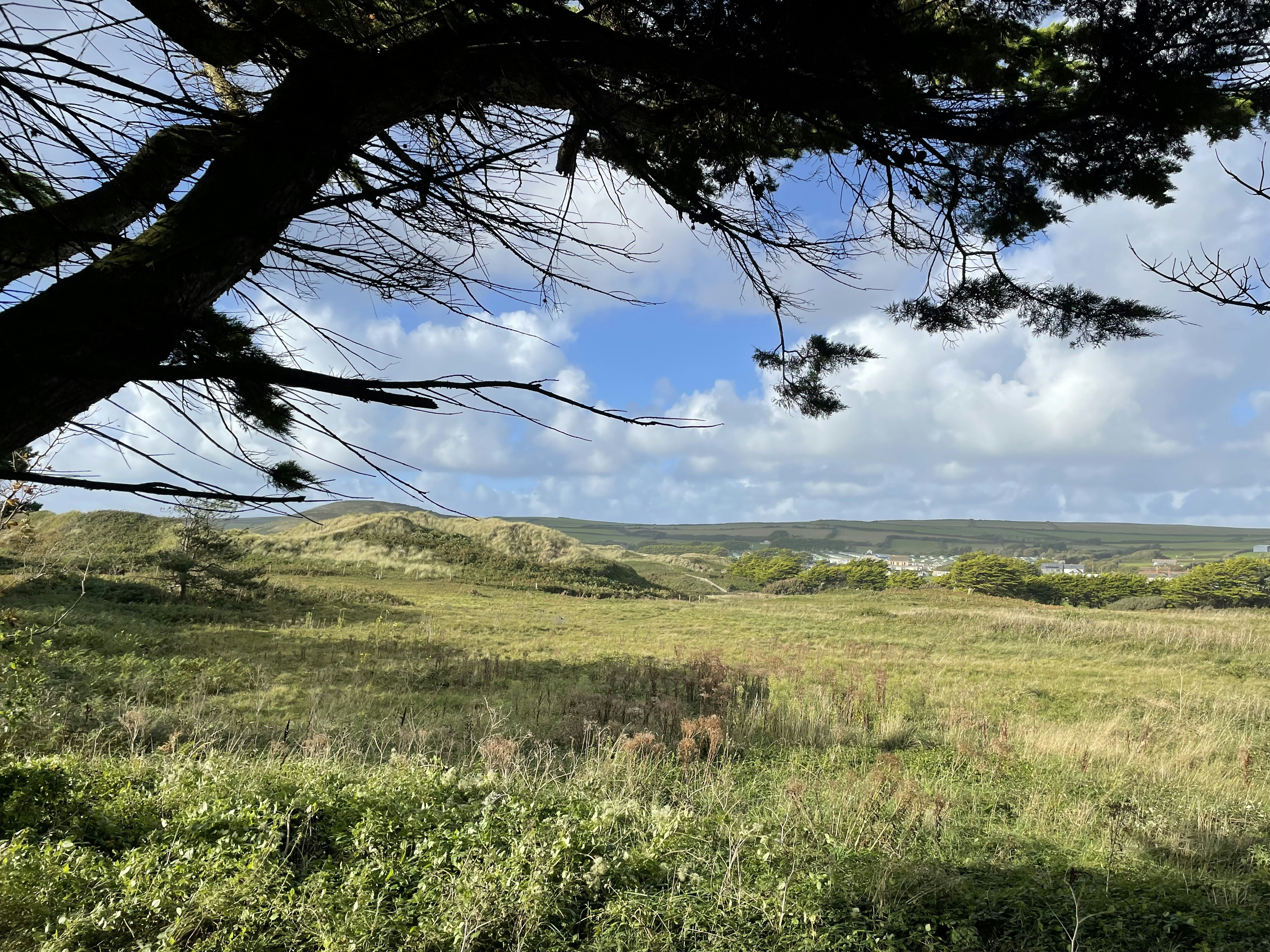 a grassy field with trees and clouds in the background