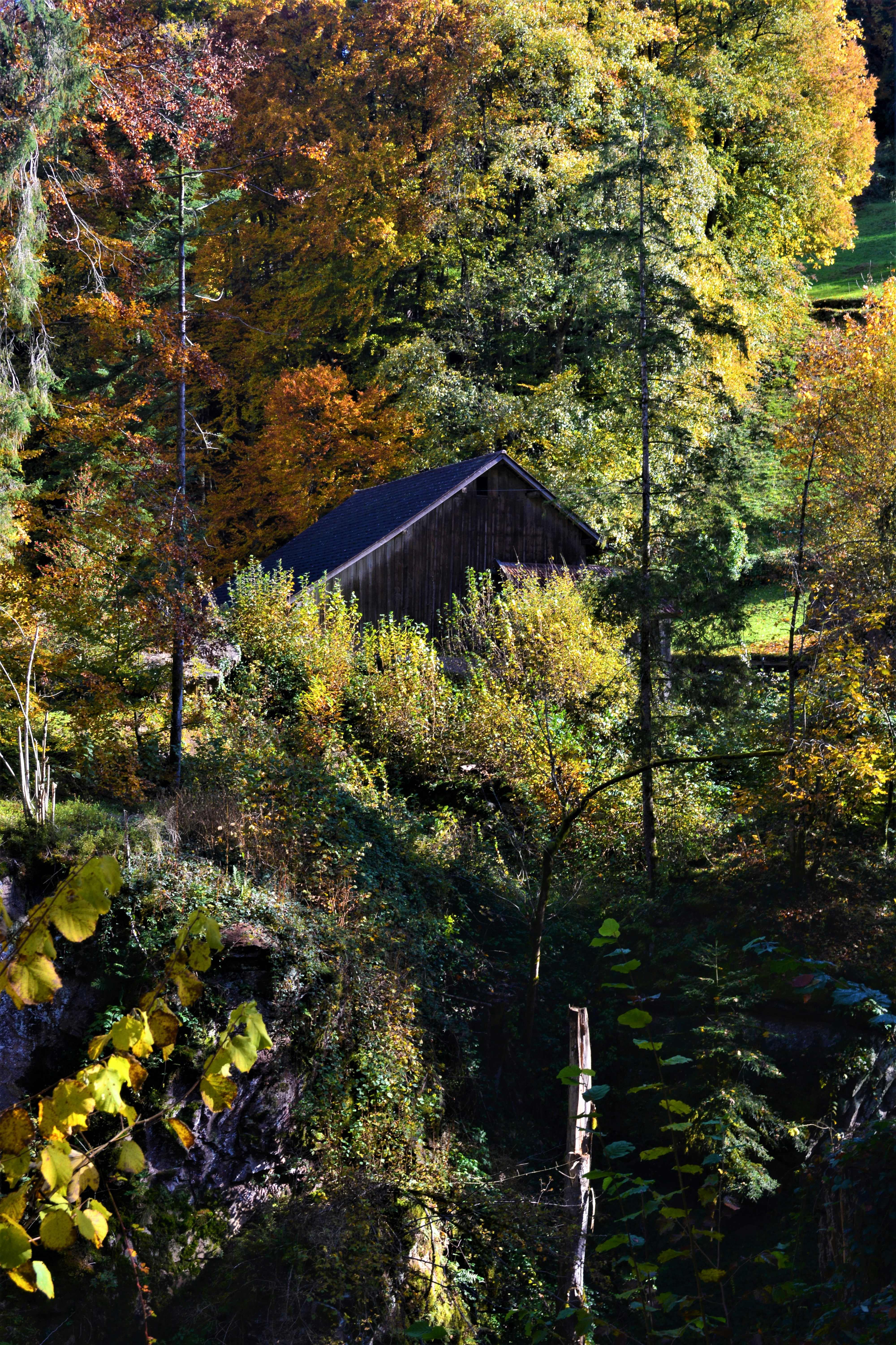 Photo by pedrino5_official