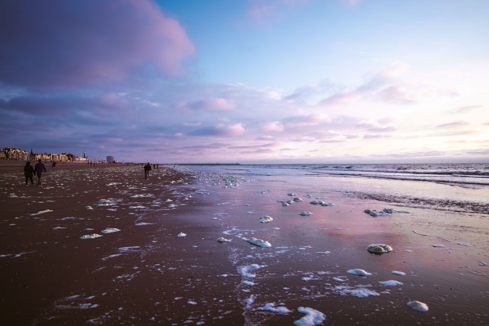 a couple of people walking along a beach next to the ocean