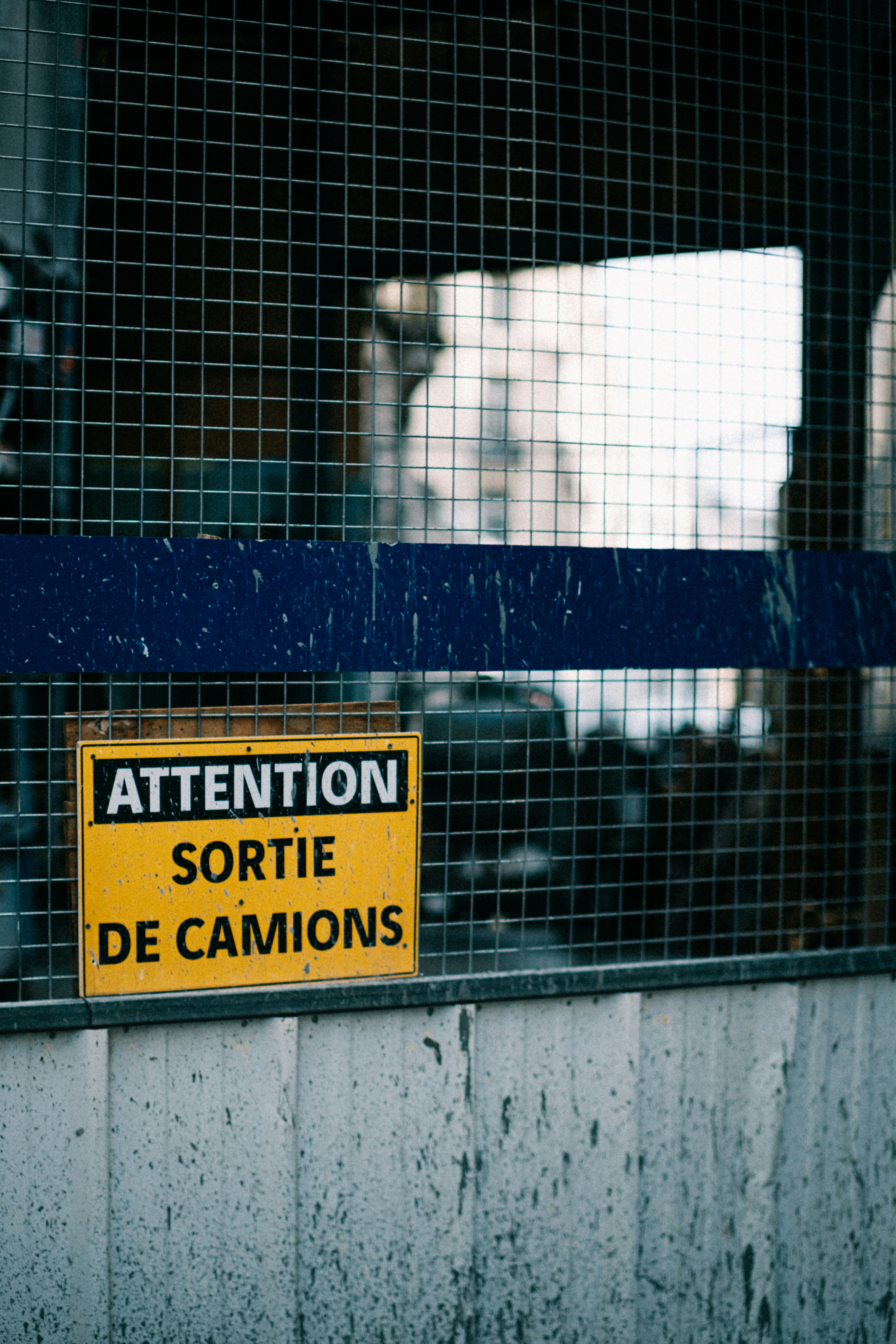 Lutte contre les frelons asiatiques