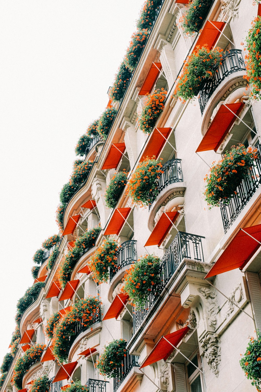 a tall building with lots of windows and flowers on the balconies