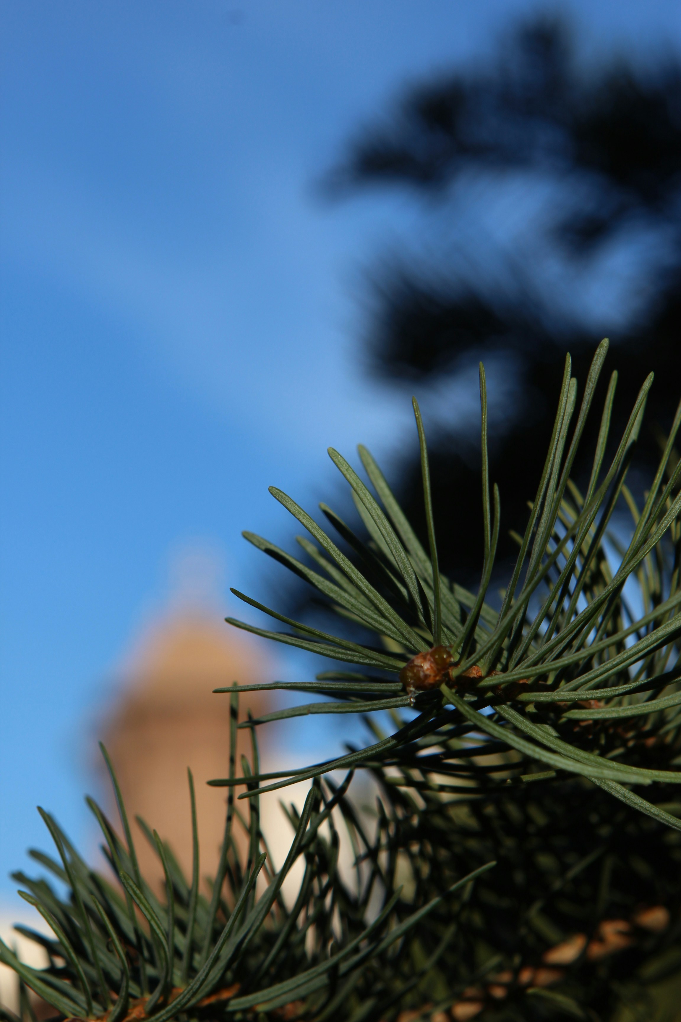 Photo by doinagavrilov