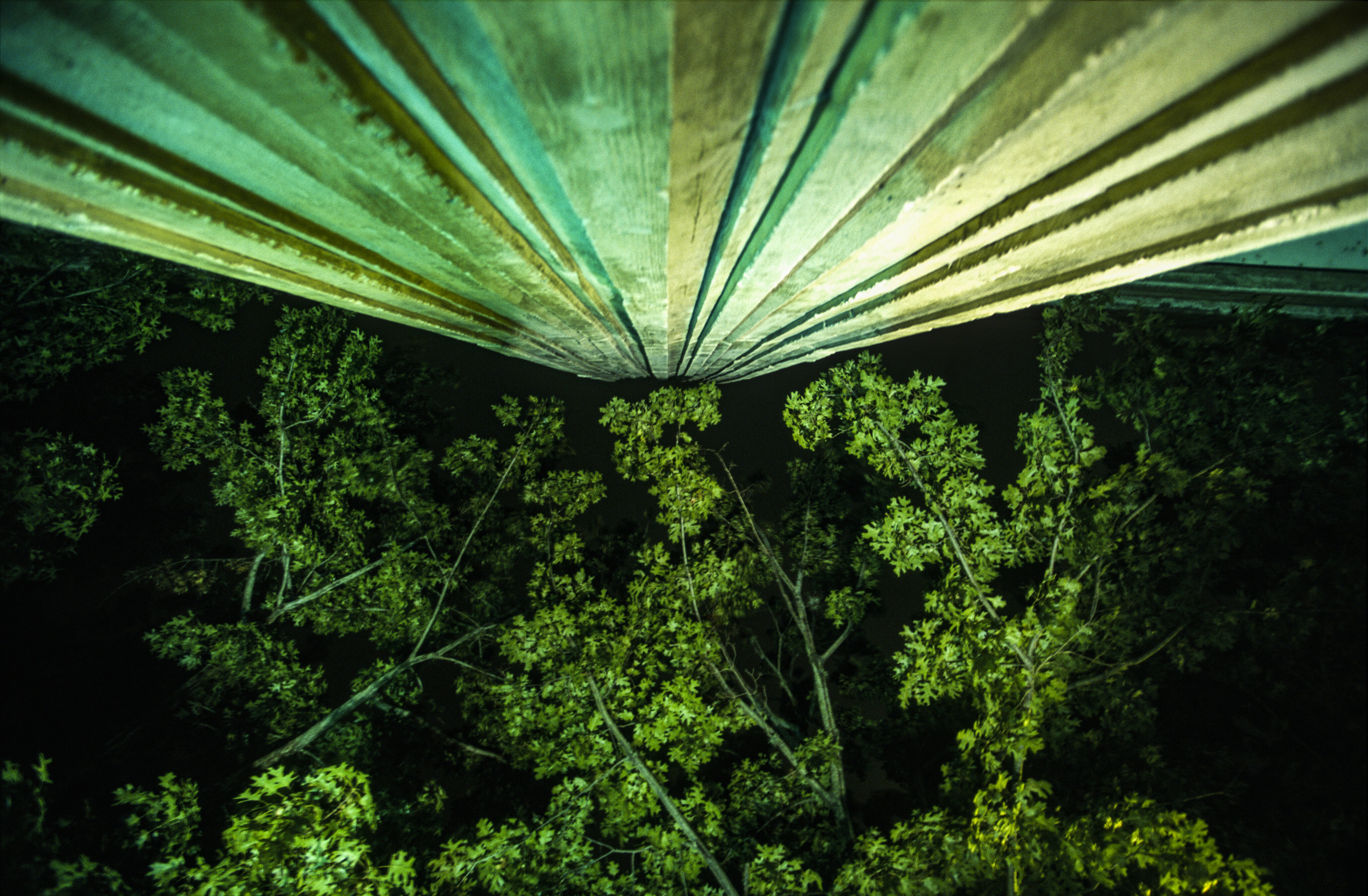 rainforest tent wallpaper, wallpaper, Ventilate a Tent in Rain: Stay Dry & Comfortable 4