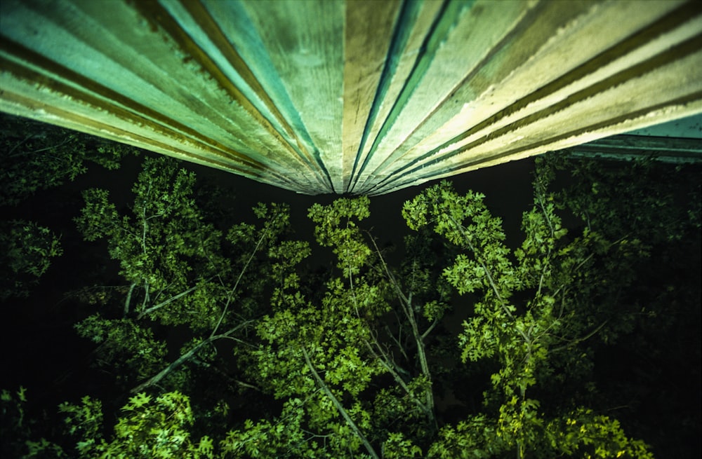 a view of trees from above at night