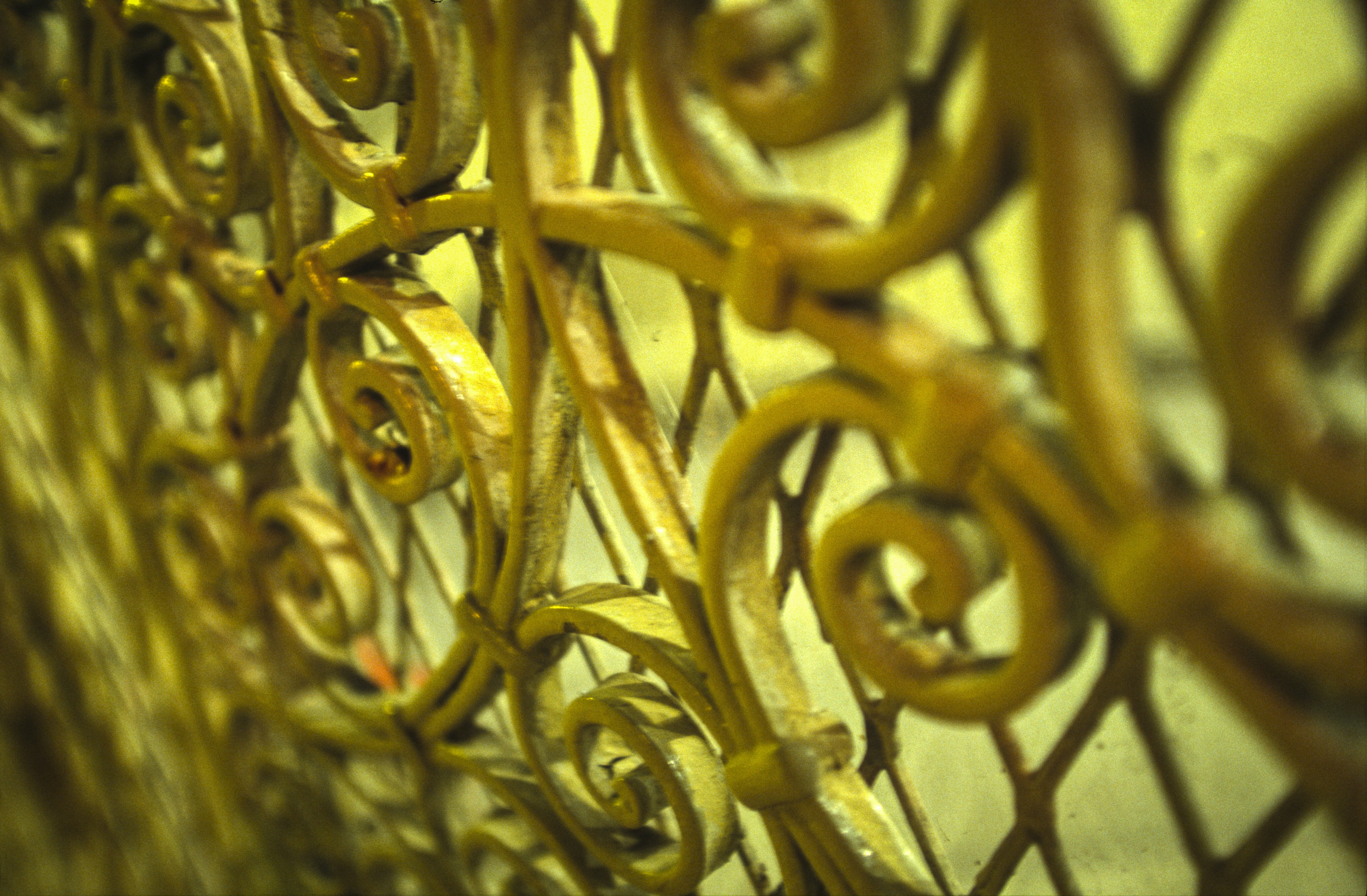 A close up view of a metal fence photo – Free Orlando Image on Unsplash