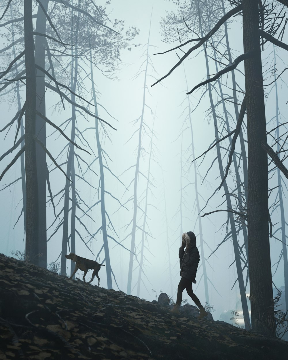 a person walking in the woods with a dog