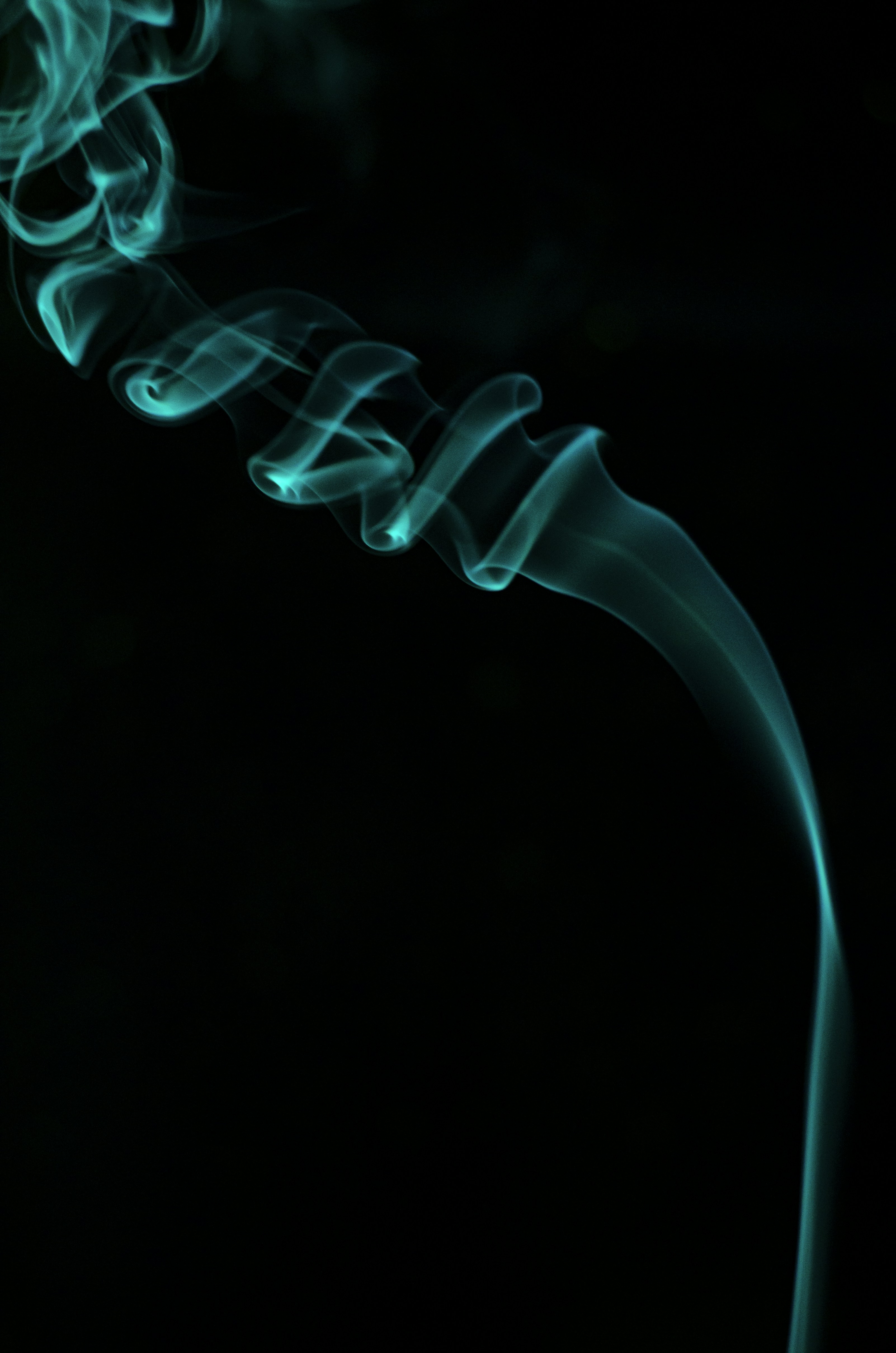 Photo by ahmadreza7shot