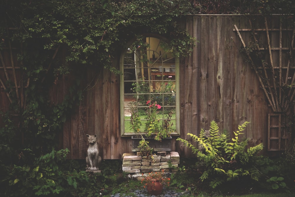 a dog standing in front of a window in a garden