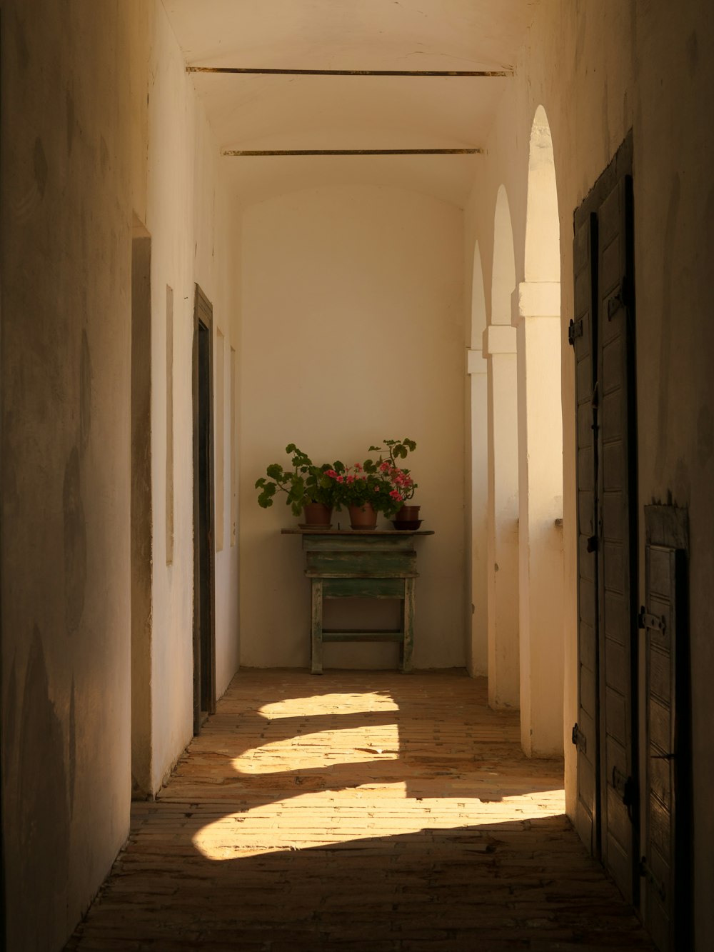 a hallway with a bench and potted plants