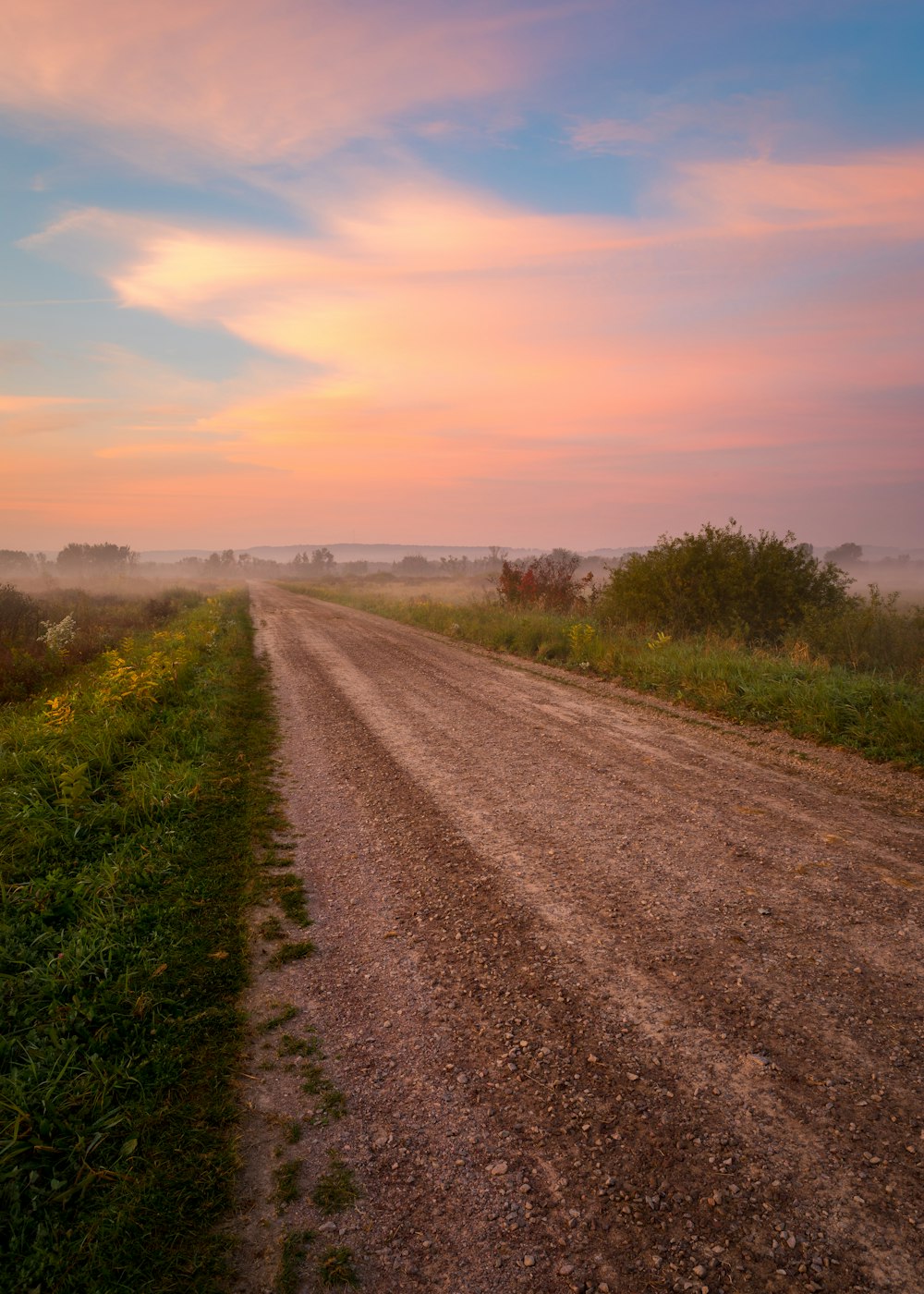 Una strada sterrata in mezzo a un campo