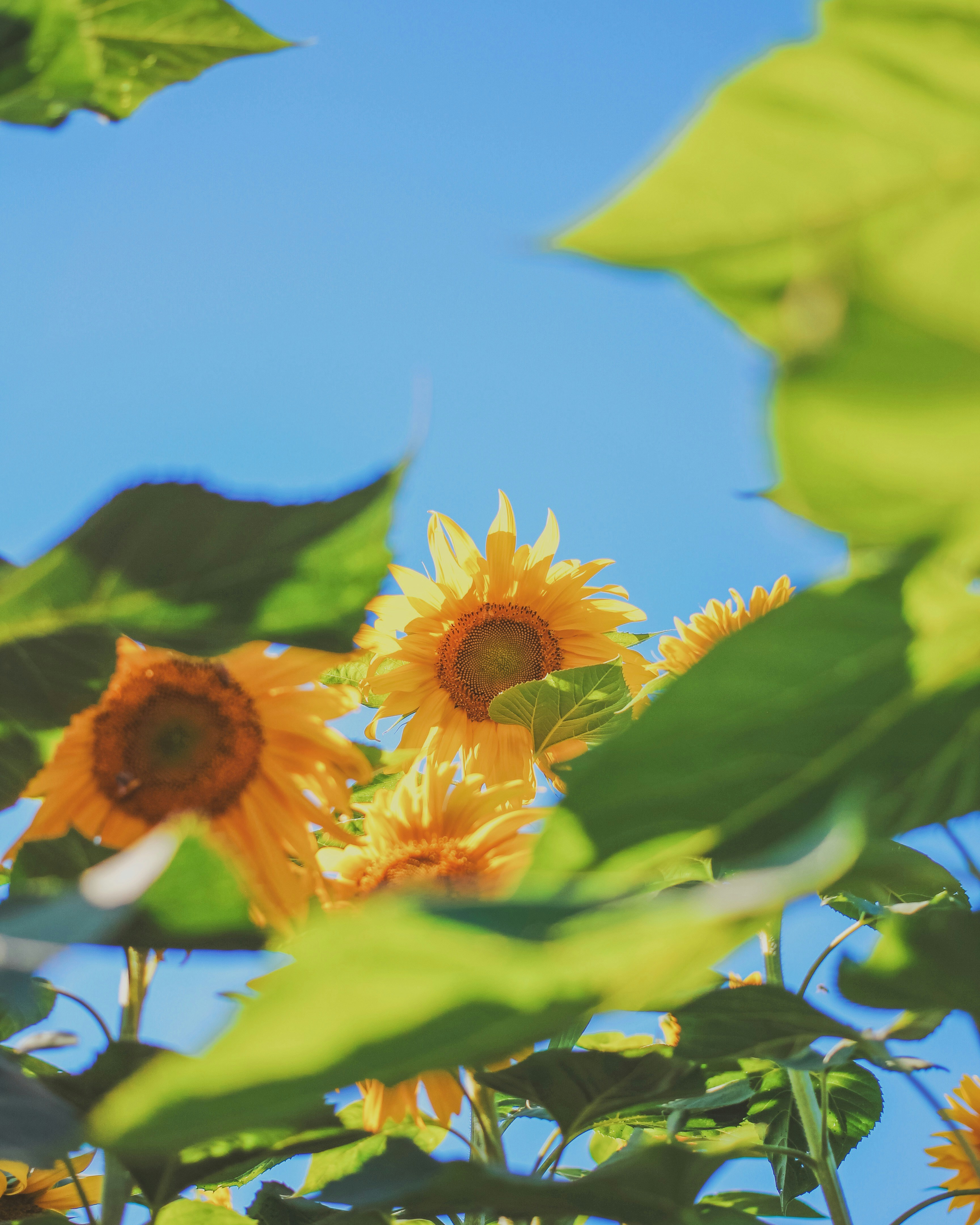 Photo by hesterqiang