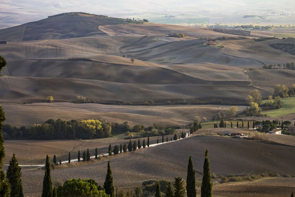 a scenic view of rolling hills and trees