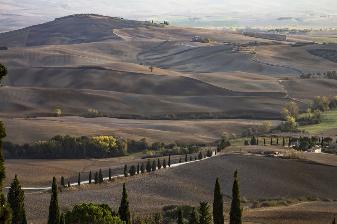 a scenic view of rolling hills and trees,