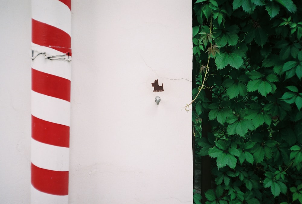 a red and white striped pole next to a white wall