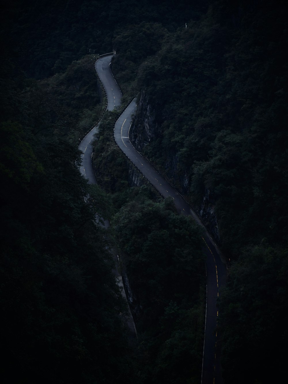 a winding road in the middle of a dark forest