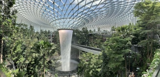 a waterfall in the middle of a tropical garden