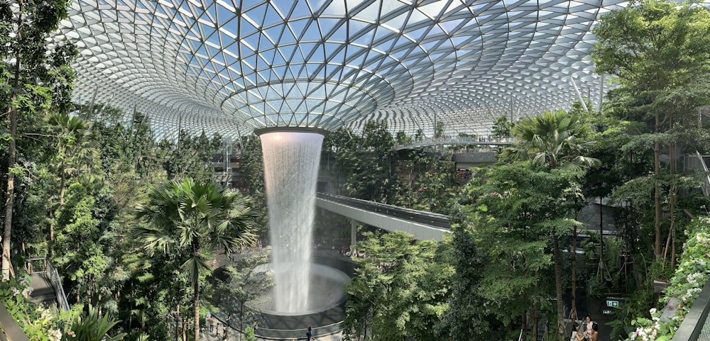 a waterfall in the middle of a tropical garden