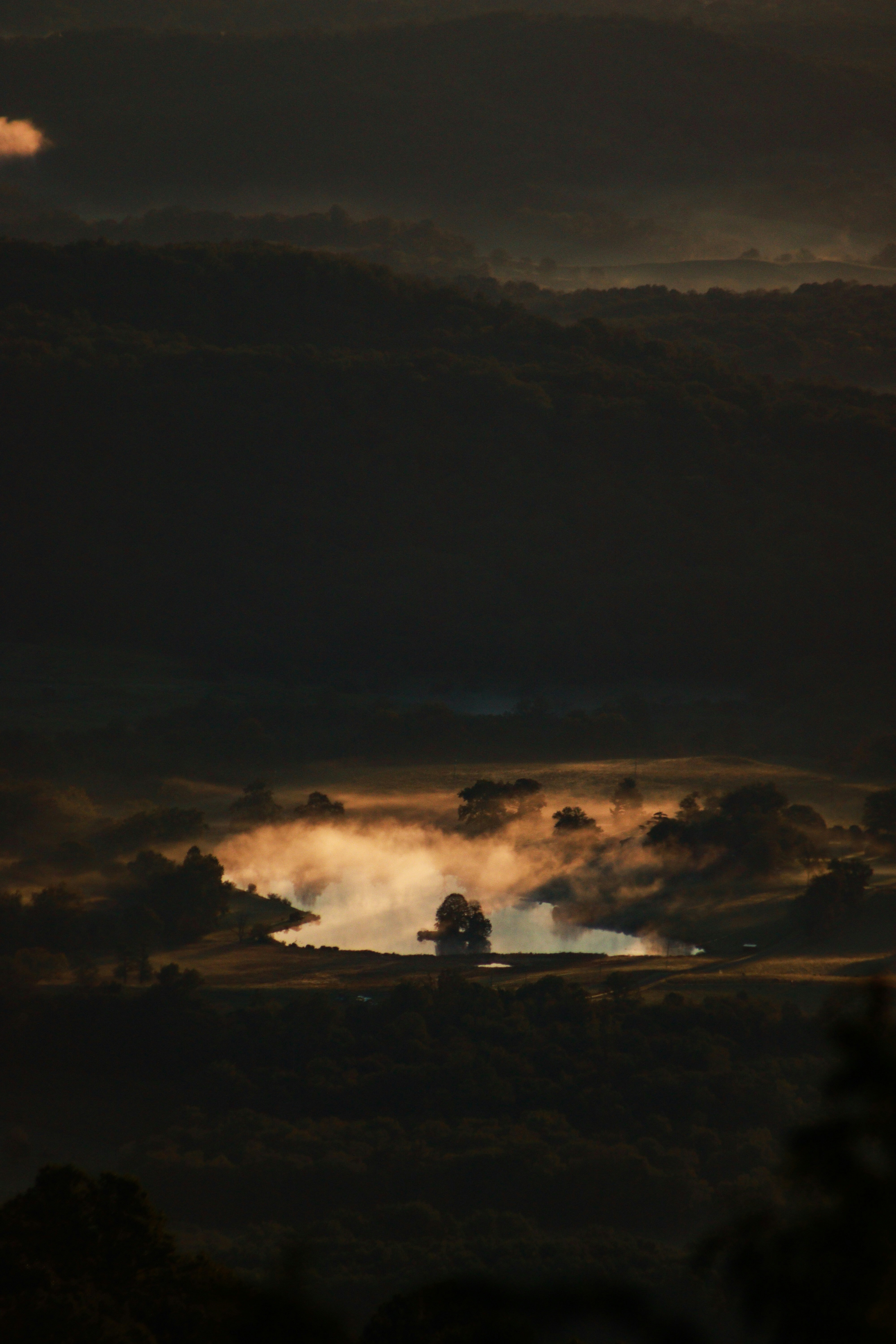 Photo by tylerheld