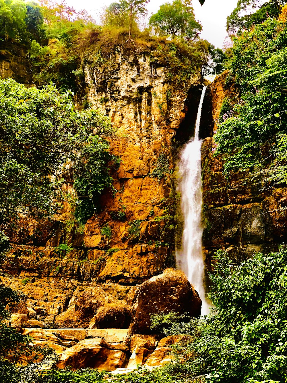 Ein großer Wasserfall mitten im Wald