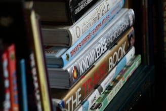 Stack of colorful educational reference books on a library shelf.