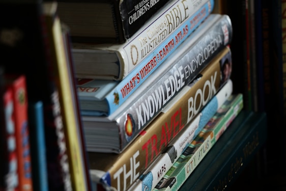 Several books are stacked vertically on a shelf. The titles visible include children's literature, encyclopedias, and travel guides. The spines display a variety of fonts and colorful designs.