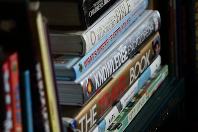 Several books are stacked vertically on a shelf. The titles visible include children's literature, encyclopedias, and travel guides. The spines display a variety of fonts and colorful designs.