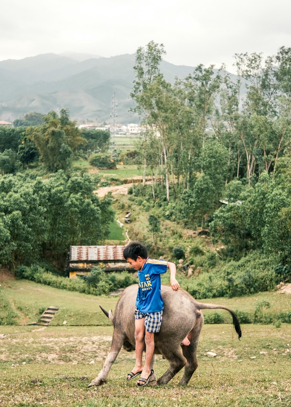 a young boy riding on the back of an animal