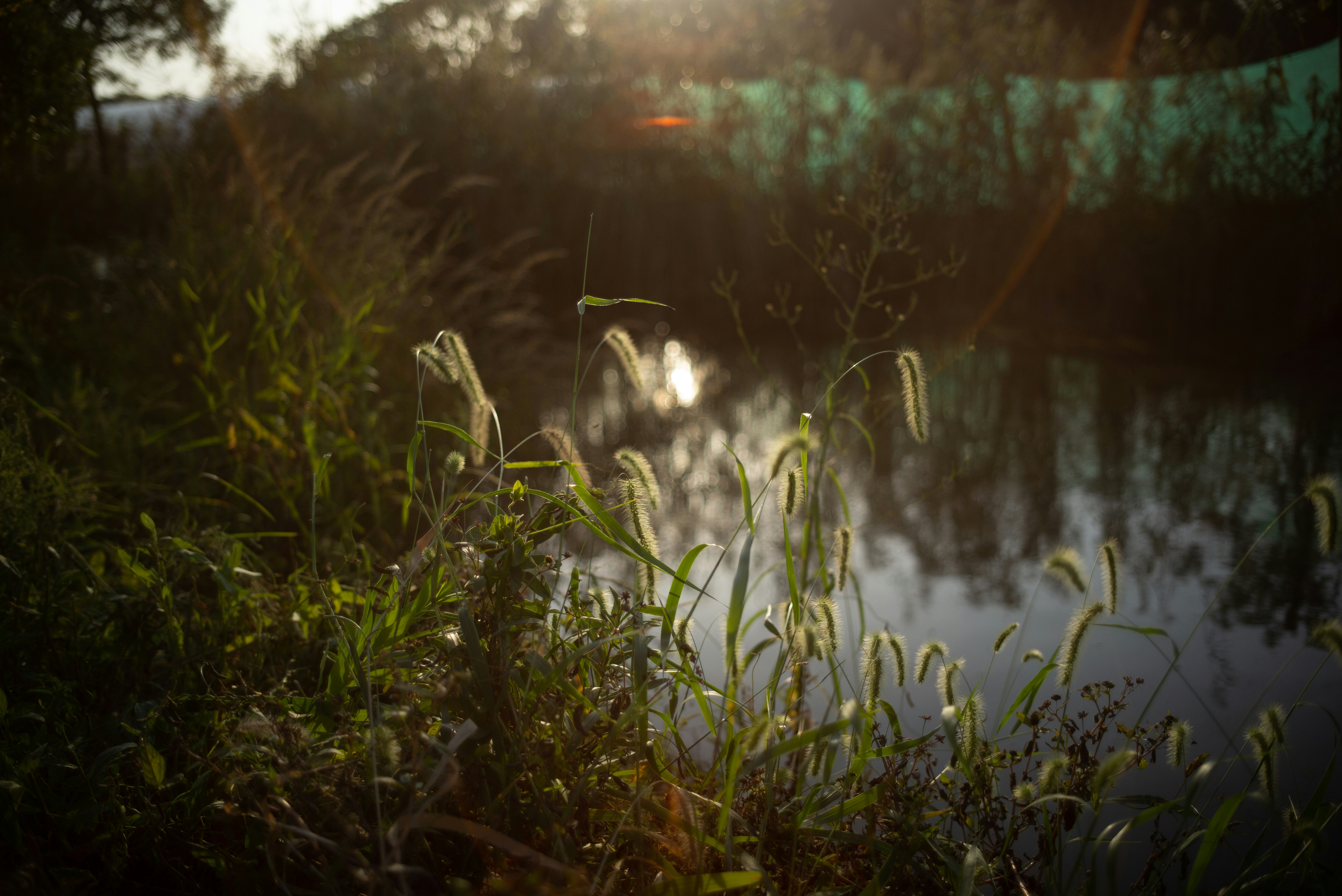 Photo by derekleej