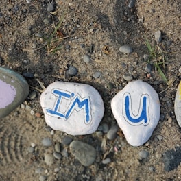 a couple of rocks with letters painted on them