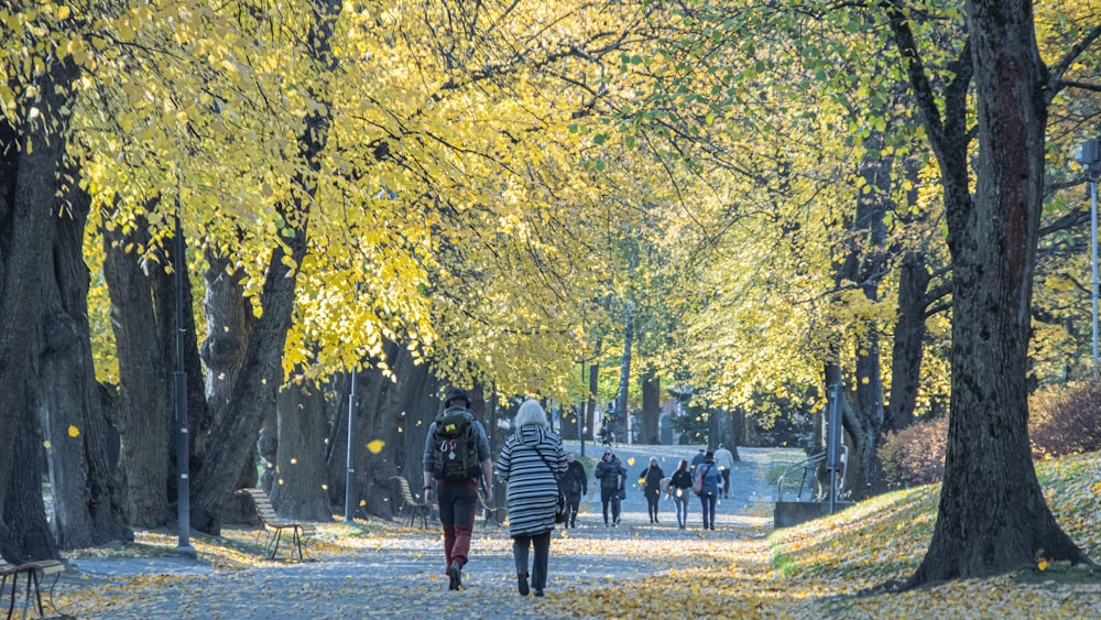 a group of people walking down a leaf covered road