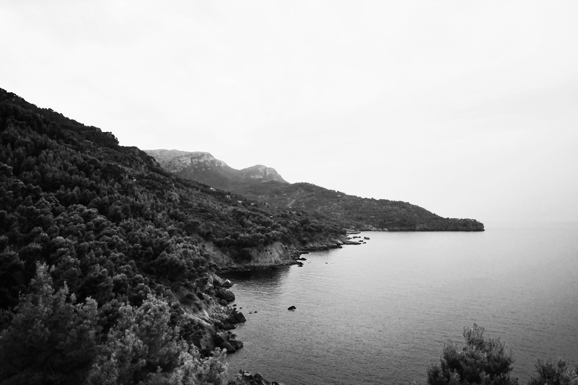 a black and white photo of a body of water
