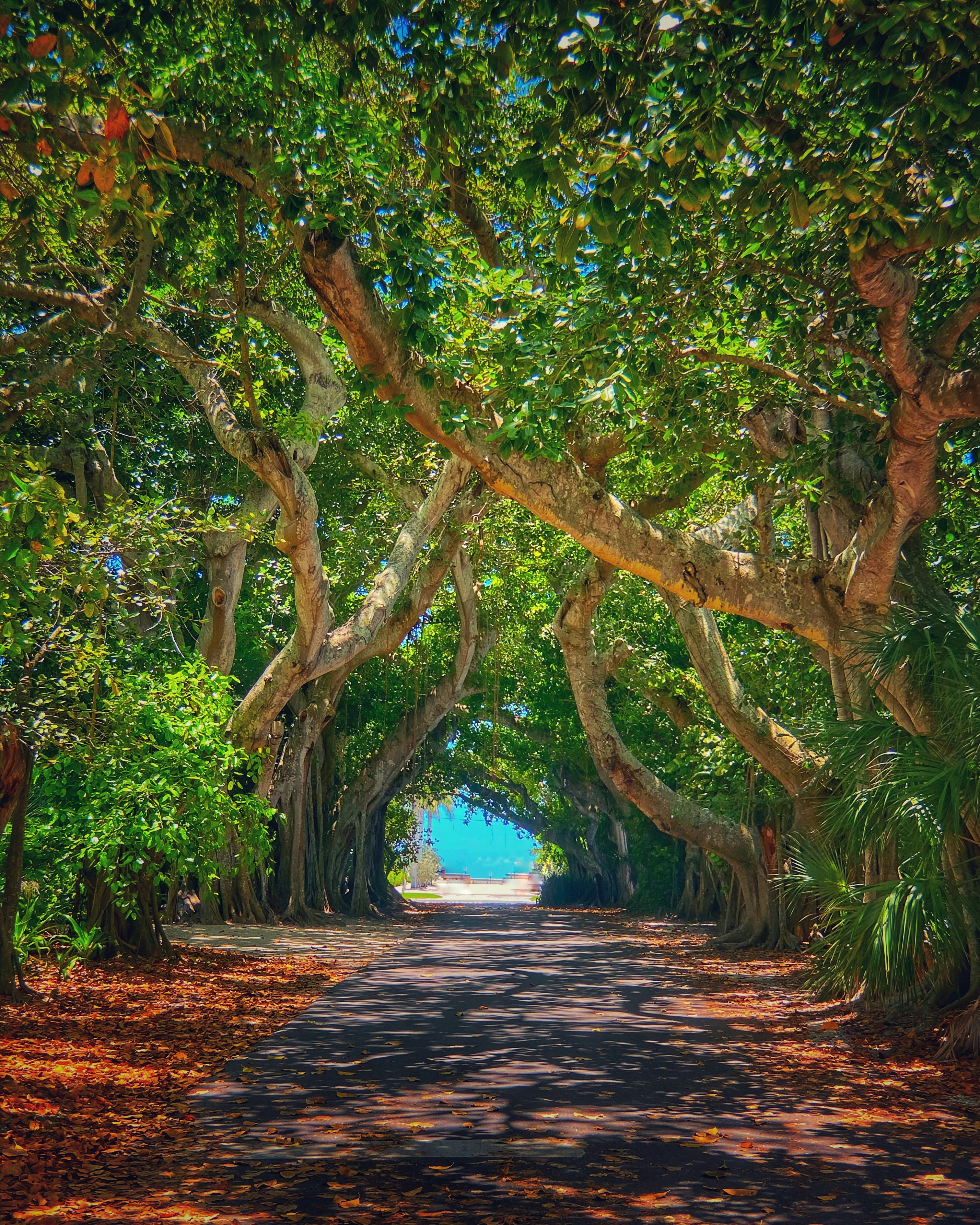 Understanding Boca Grande FL Property Tax System for Home Buyers