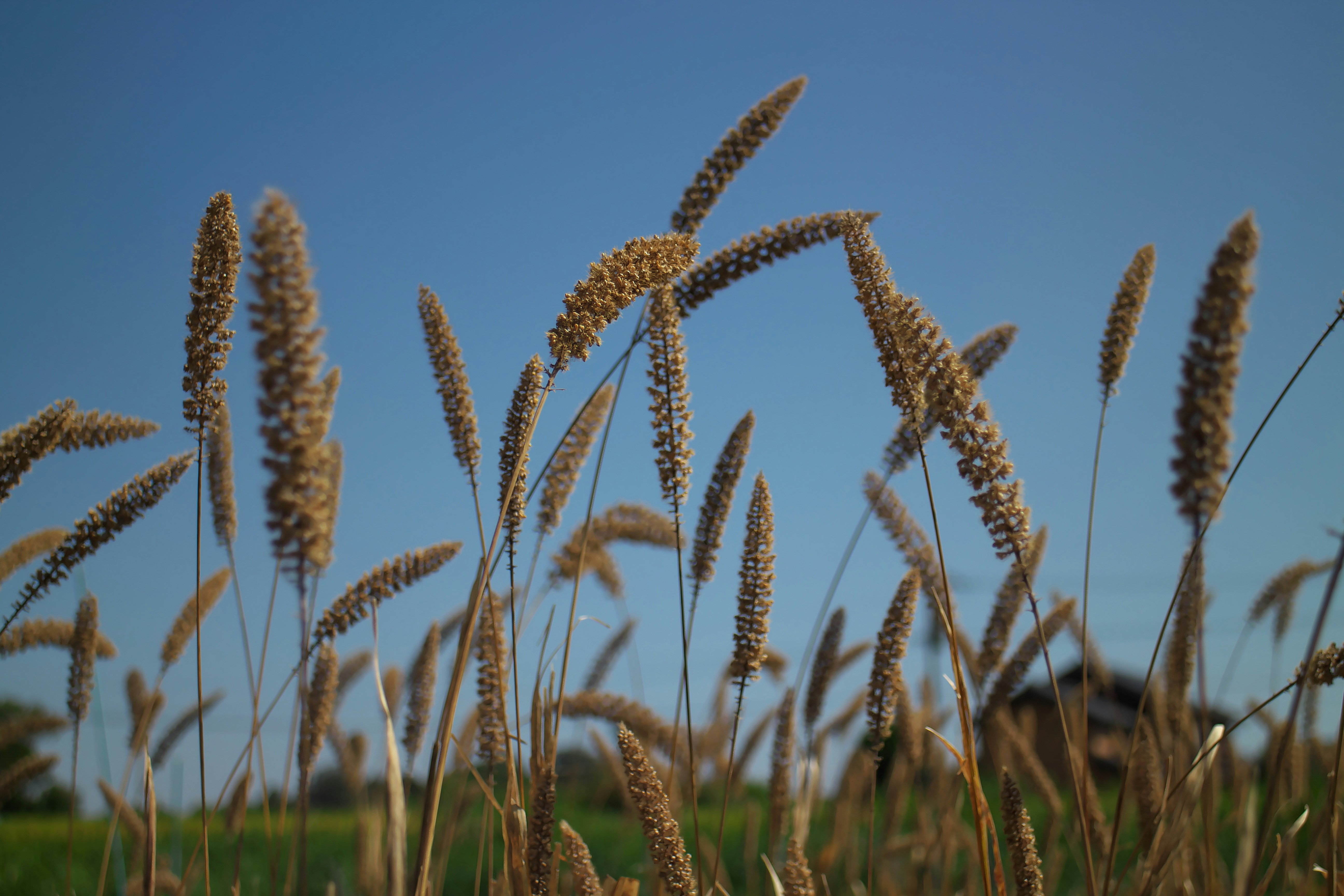 Photo by seichirochan