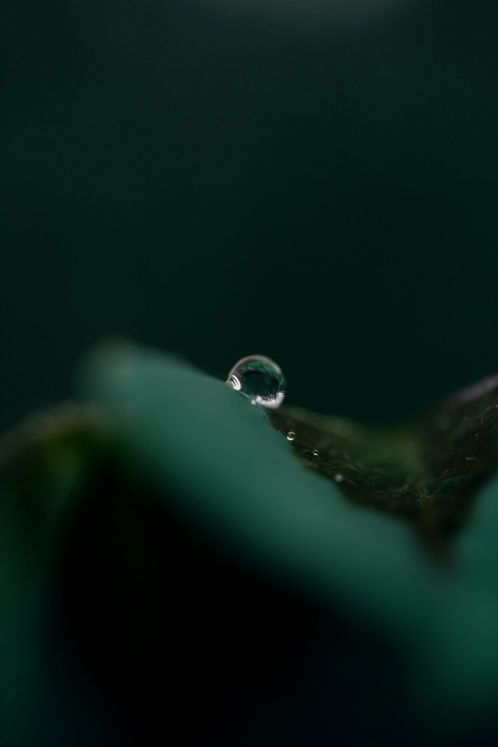 a drop of water sitting on top of a green leaf