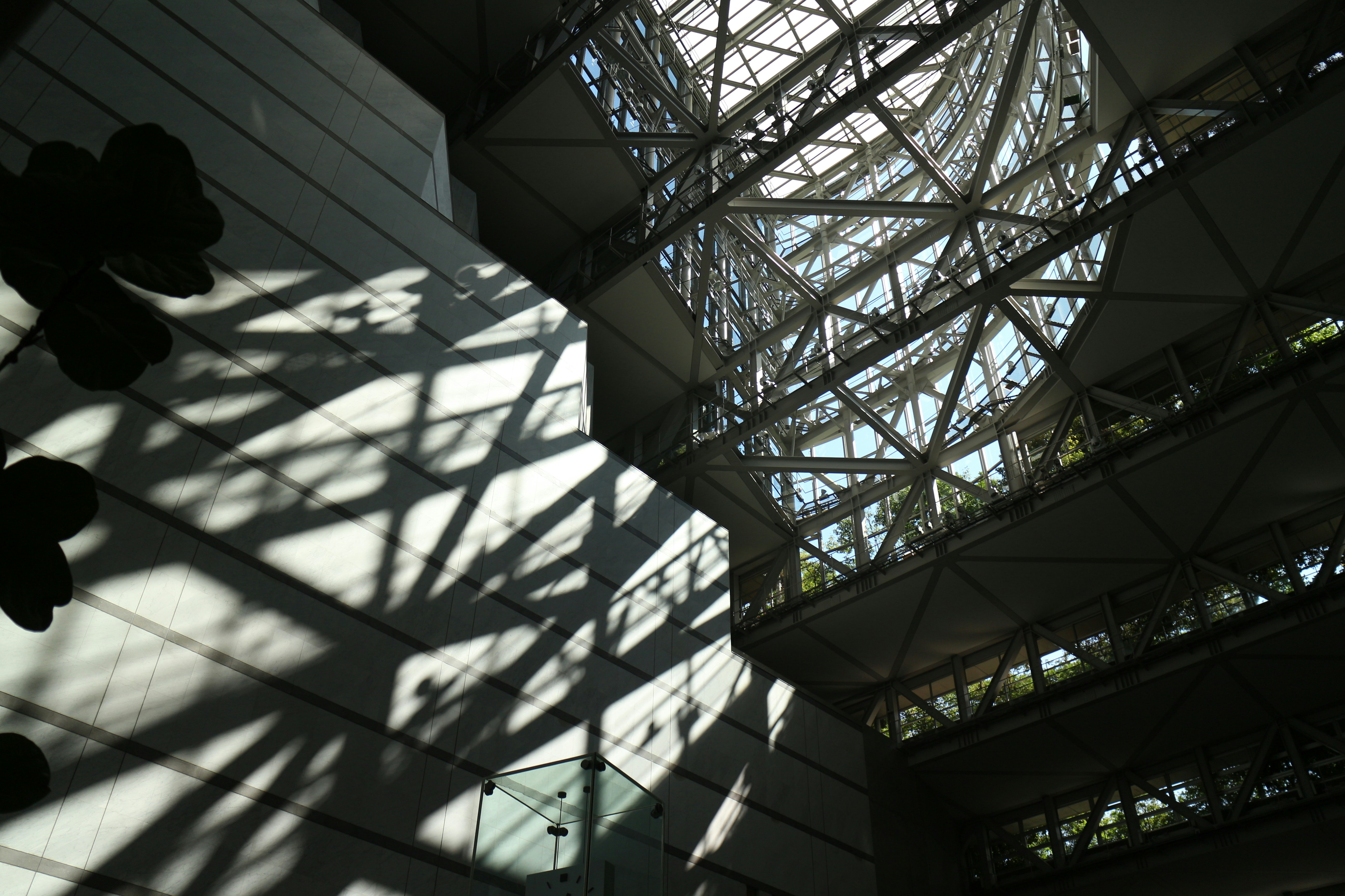 Photo by seichirochan