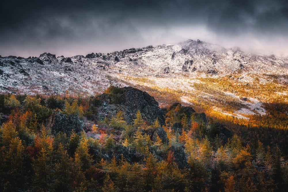 a mountain covered in snow and trees under a cloudy sky